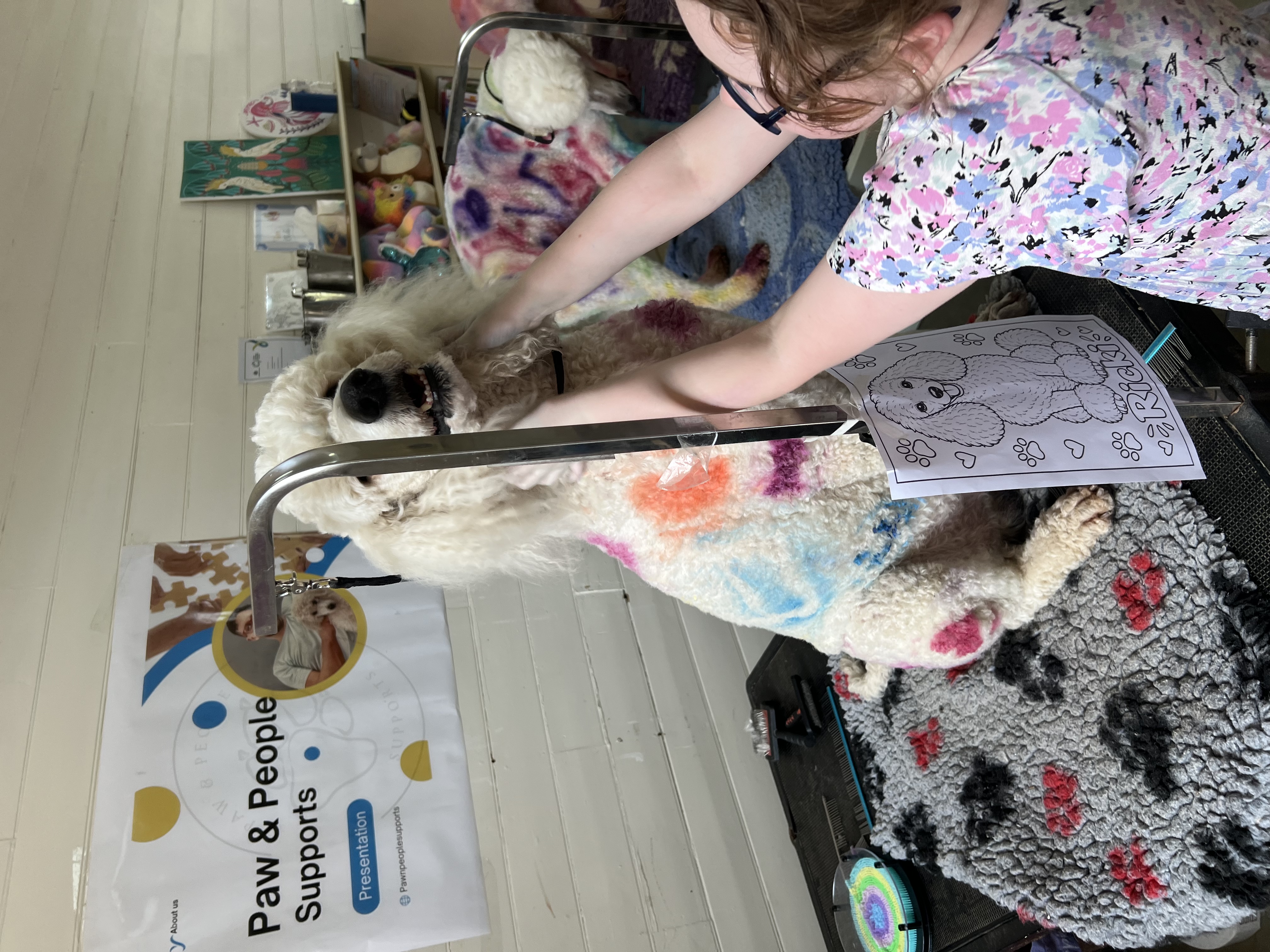 A participant practising hands-on dog care at a Paw and People holiday session